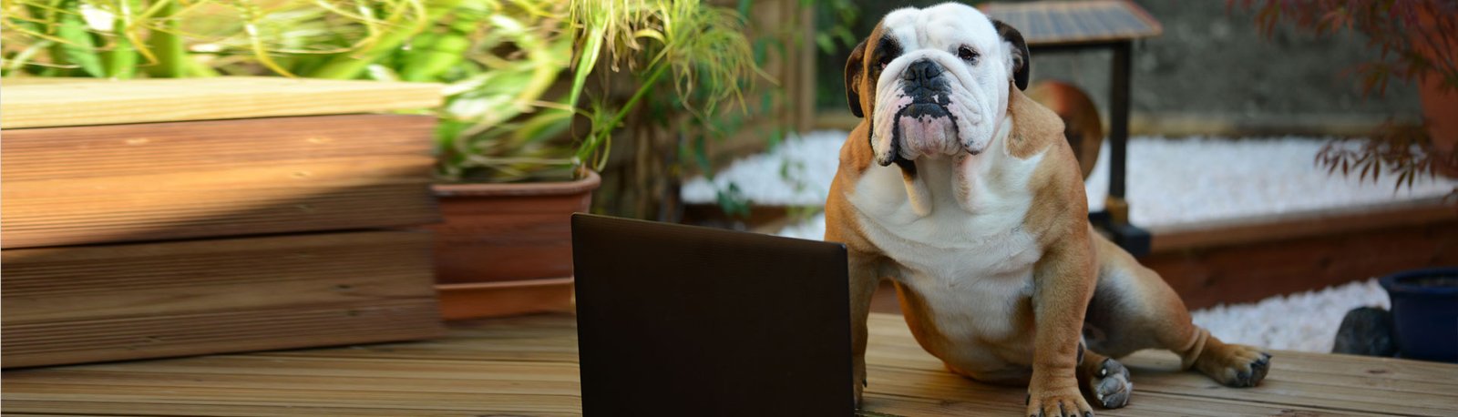 5 Erros nos Post’s de Criadores