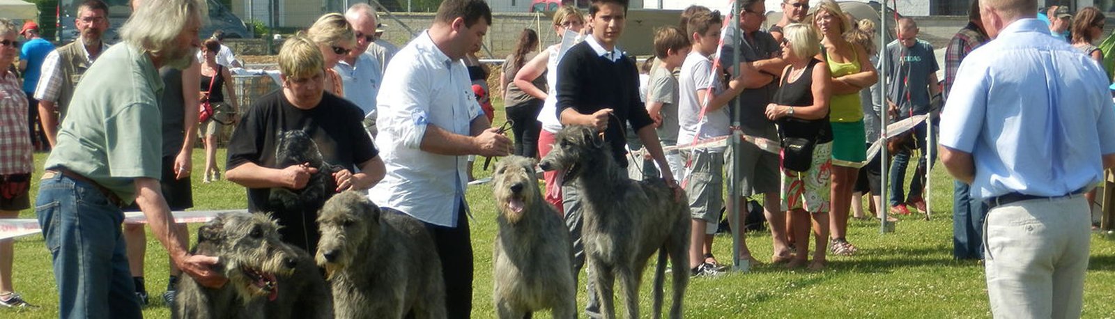 Vale a pena participar de Exposições?
