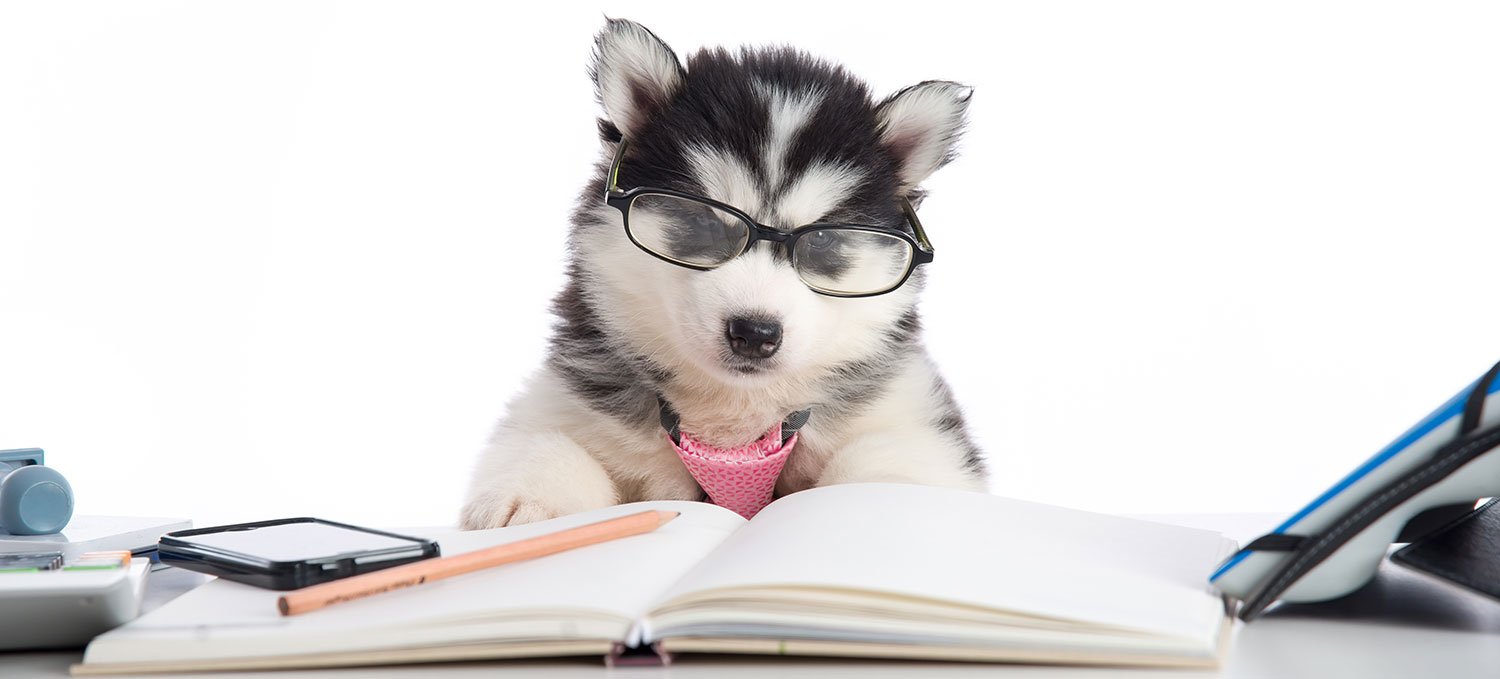 Dicas de manejo – Parte 1