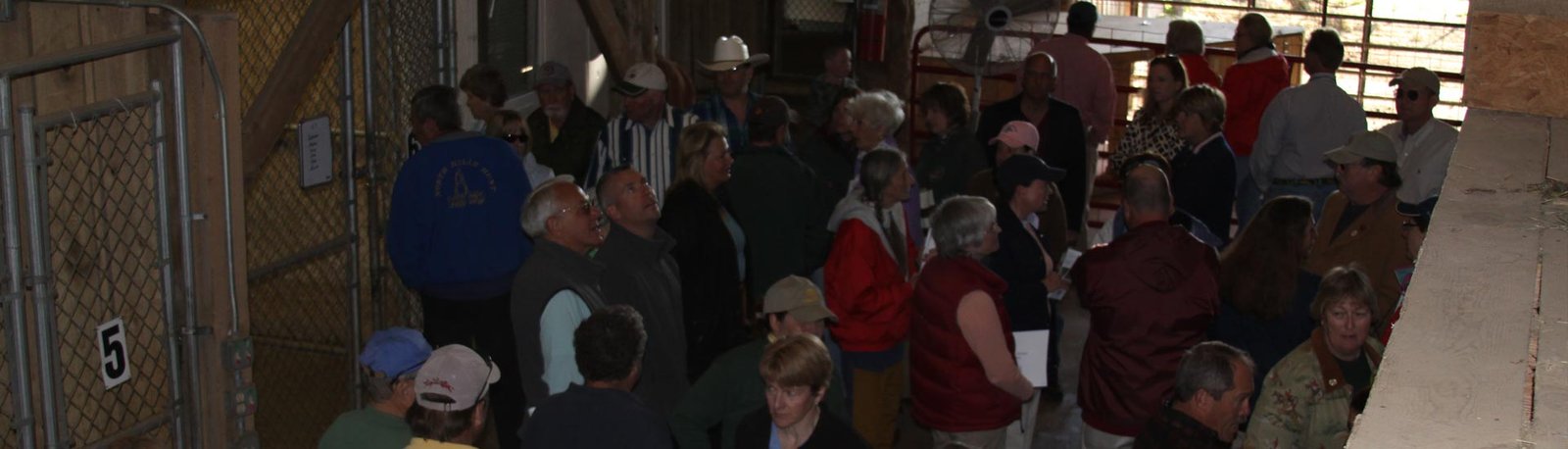 Visita no Canil ou Gatil