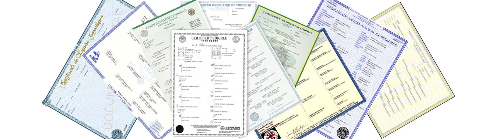 Onde Registrar o Pedigree?