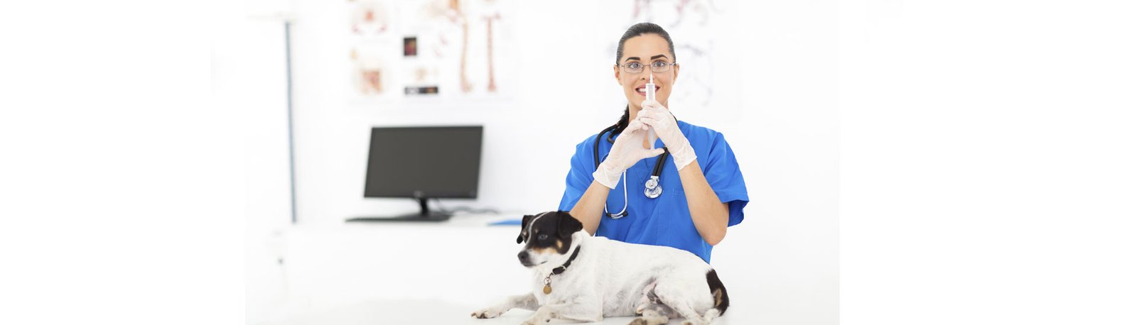 Microchip, um custo desnecessário ou um diferencial do Criador?