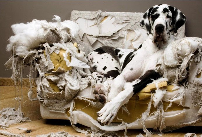 erros criador iniciante