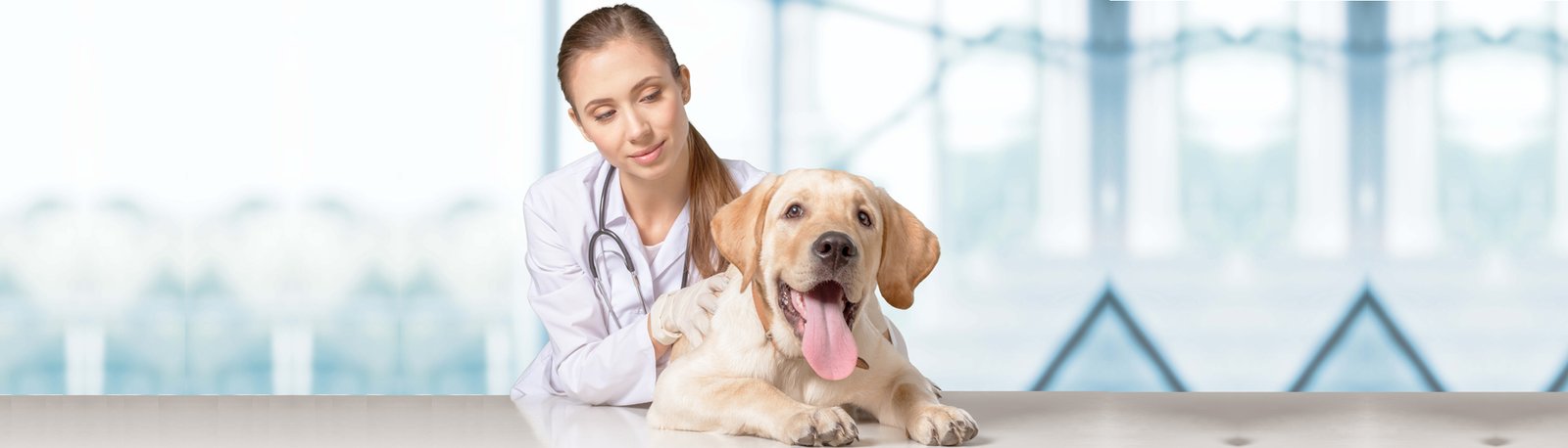 Exames no Plantel – Levando a Saúde Muito a Sério