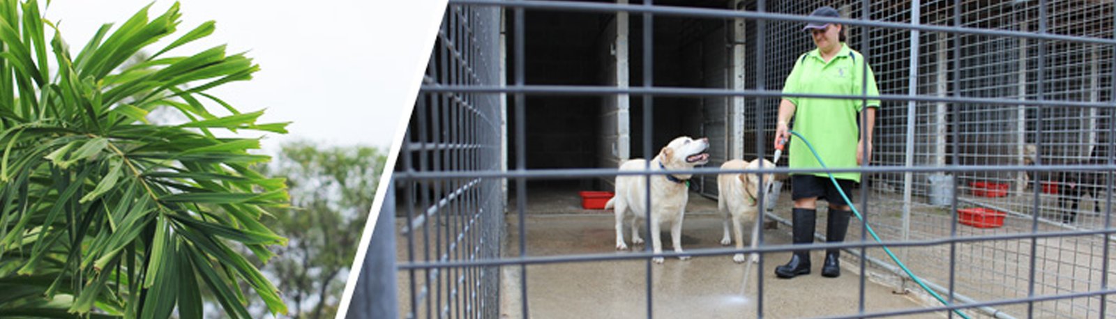 Os Desafios da Criação