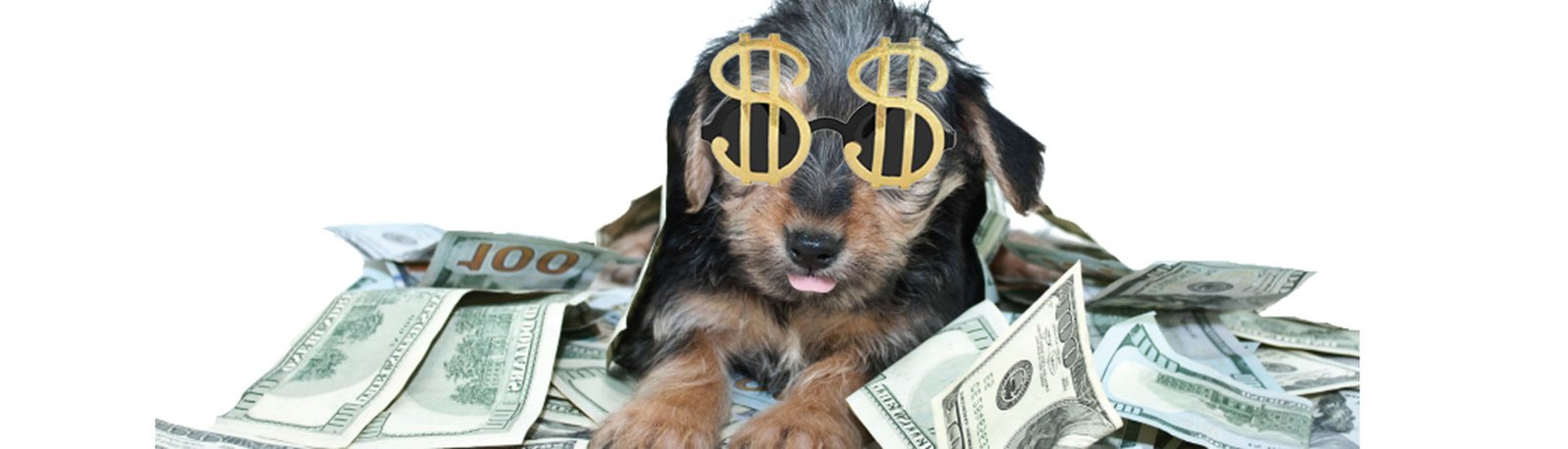 Quanto Investir em Marketing ?