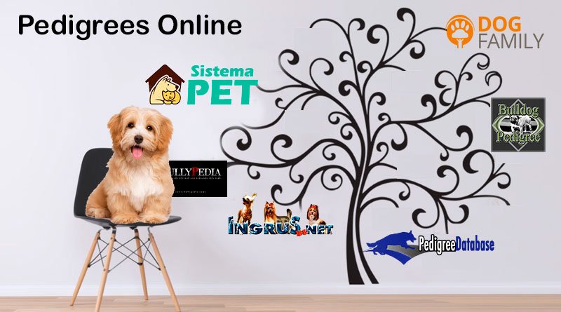 pedigreeonline