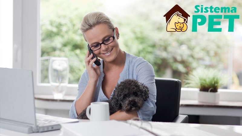 3 pilares para venda