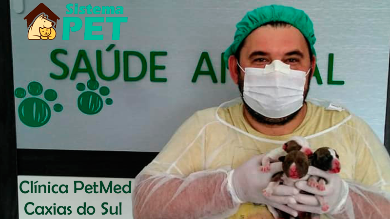 Criador e Veterinário