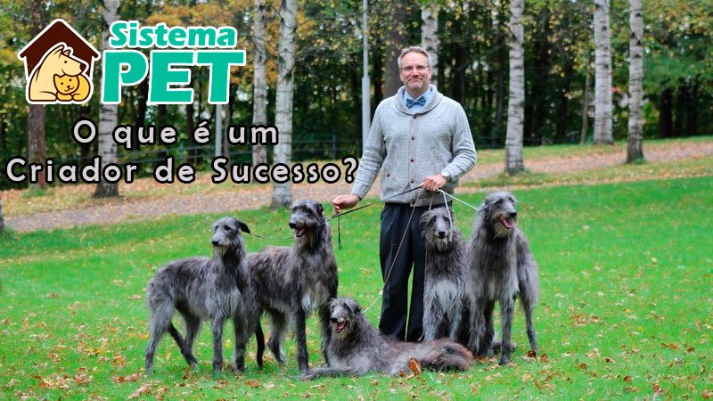 Criador de Sucesso