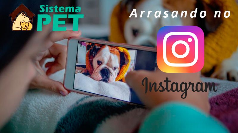 Instagram e o Criador