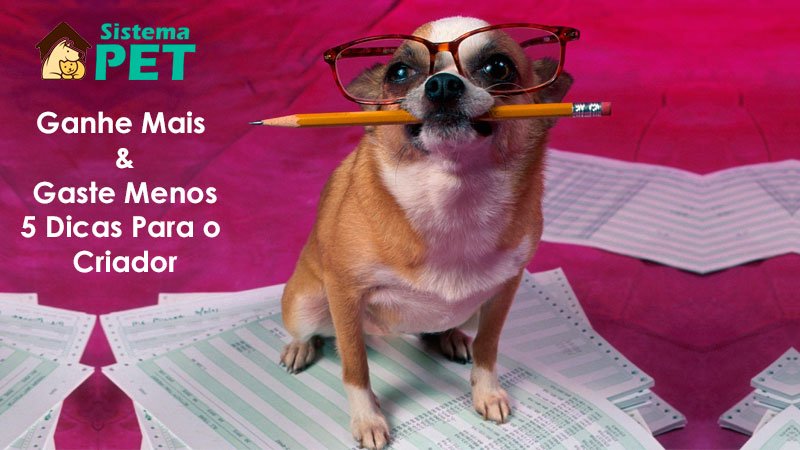 Ganhe Mais e Gaste Menos