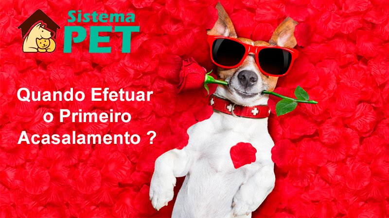 Primeiro Acasalmento