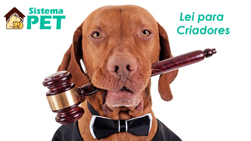 Lei para Criadores