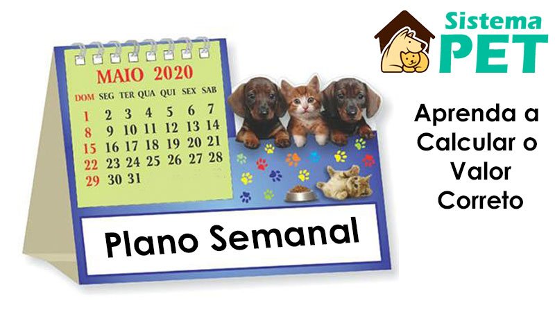 Plano Semanal