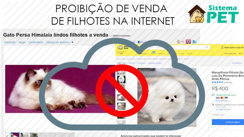 Proibição de Venda de Filhotes pela Internet