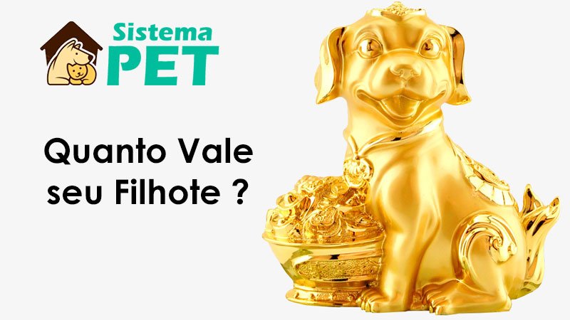 Quanto vale seu filhote