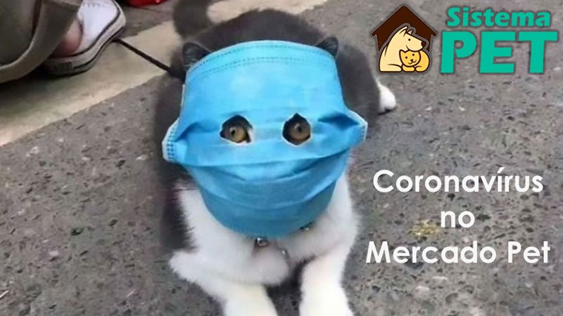 Coronavírus no MercadoPet