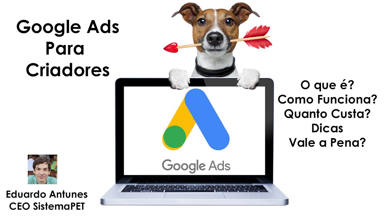 Google Ads para Criadores