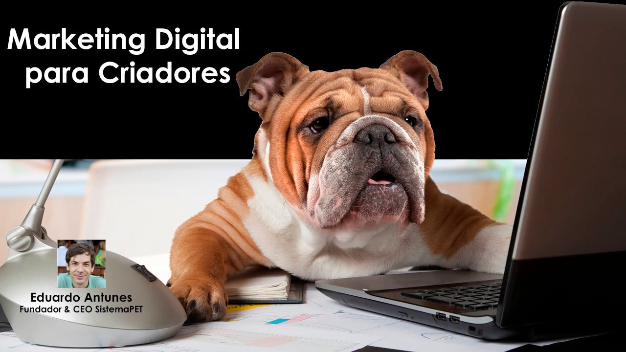 Marketing Digital para Criadores