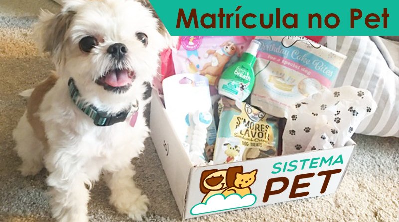 matrícula na creche