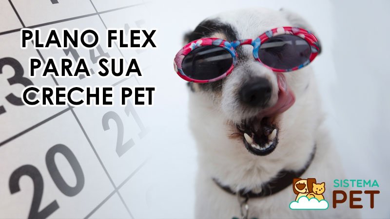 Plano Flex para Creches Pet