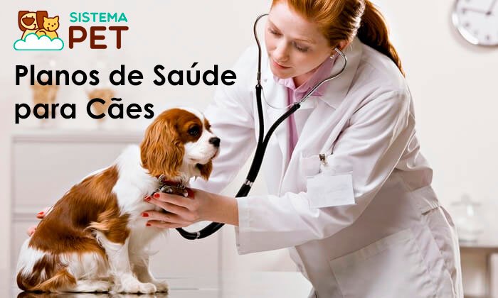Plano de Saúde para Cães