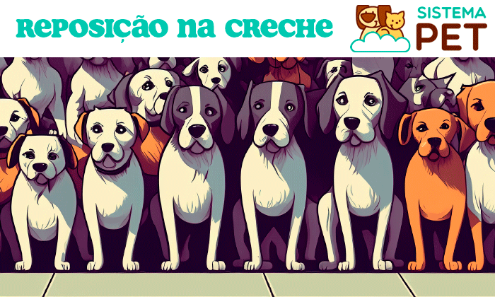 Reposição de Planos de Creche e Banho